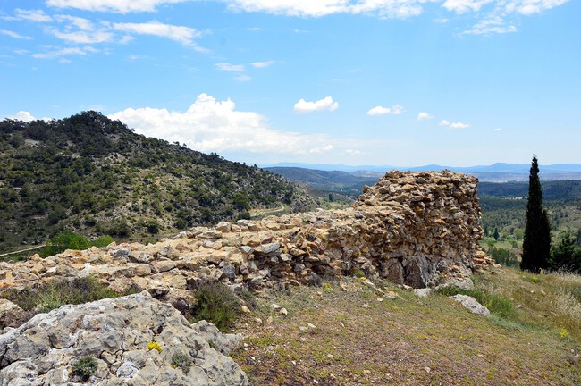 ruta