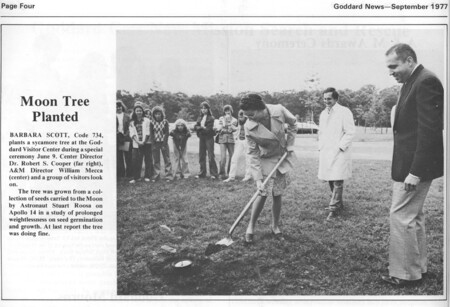 Goddard Tree Planting