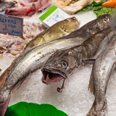 Todas las merluzas europeas tienen anisakis, según un informe científico vasco. Y el 20% de anchoas y boquerones 