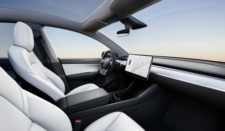 Tesla Model Y 110