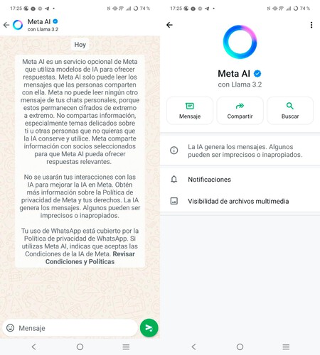 Pantalla de bienvenida y configuración de Meta AI