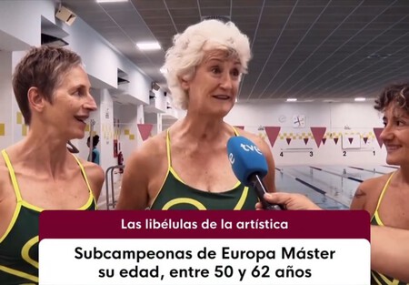 Libelulas