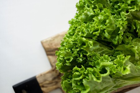 Lechuga 1