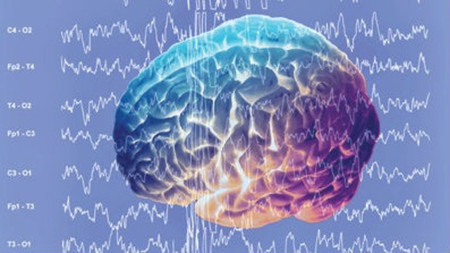 Leer o escuchar a Shakespeare puede reducir la depresión y aumentar la actividad cerebral