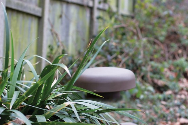 W12 Head In Bushes