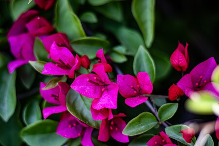 Akshat Jhingran 4mjmdqti6c0 Unsplash