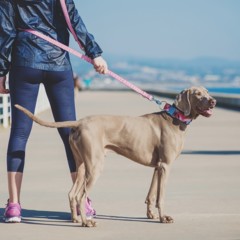 Foto 3 de 9 de la galería brott-barcelona en Trendencias Lifestyle