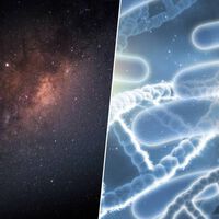 Não é ficção científica: especialistas em política espacial já desenham três cenários para o dia em que encontrarmos vida extraterrestre 