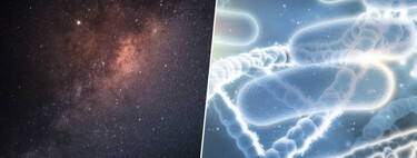 Não é ficção científica: especialistas em política espacial já desenham três cenários para o dia em que encontrarmos vida extraterrestre 