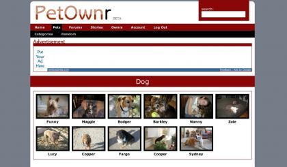 PetOwnr, las historias de las mascotas contadas por sus propietarios