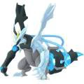 Kyurem Negro