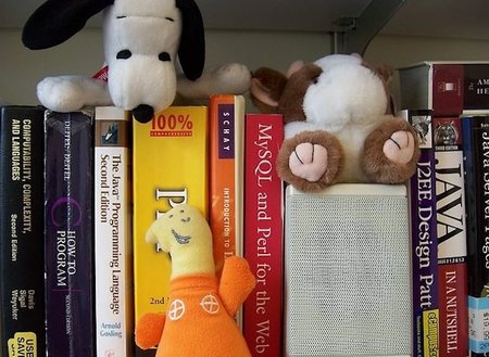 Con libros en casa, los hijos tienen mayor nivel educativo