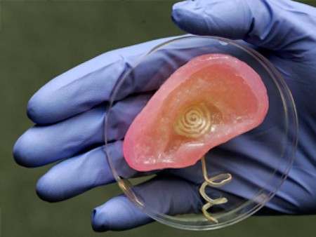 ¿Cuál fue la primera oreja biónica impresa 3D de la historia?