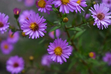 Photo 1674272086519 53048866f4ca