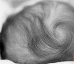 El pelo del bebé