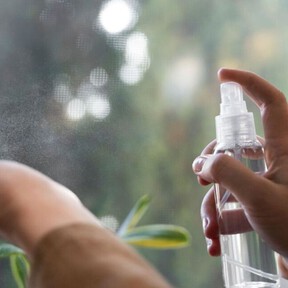 Para qué sirve mezclar vinagre y aceite esencial de menta: ideal para alejar a las arañas