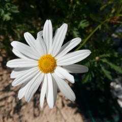 image01