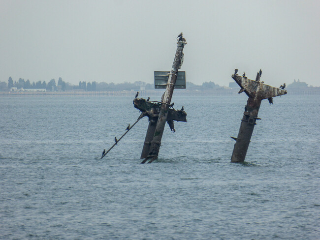 Wreck Of The Ss Richard Montgomery Off Sheerness Geograph Org Uk 4195096