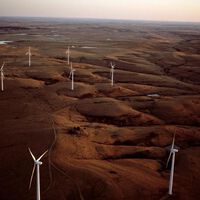 Um fazendeiro instalou 50 turbinas entre suas vacas; vinte anos depois, elas produzem eletricidade para dezenas de milhares de residências 