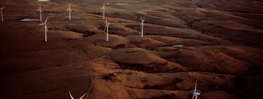 Um fazendeiro instalou 50 turbinas entre suas vacas; vinte anos depois, elas produzem eletricidade para dezenas de milhares de residências 