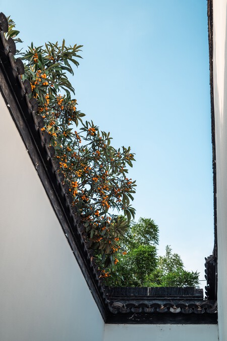 Pexels Cheng Shi Song 427082720 37765469