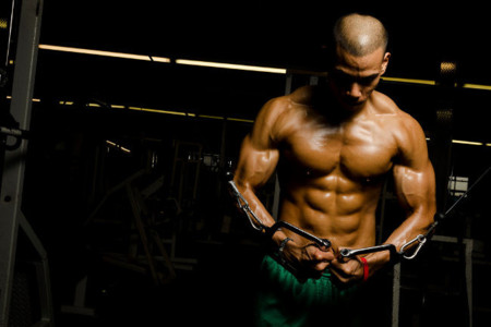 Un paso más allá en tu entrenamiento muscular