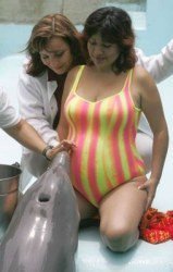 Delfinoterapia para mujeres embarazadas