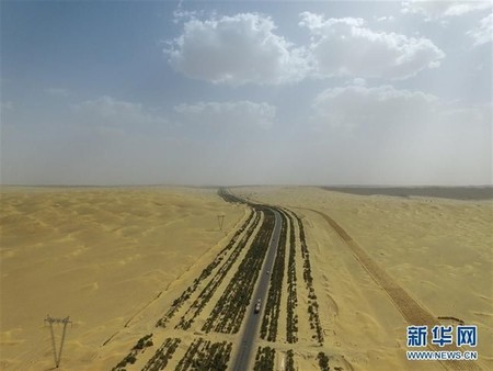 Se quiere construir un muro de vegetación para impedir el avance del desierto del Sáhara