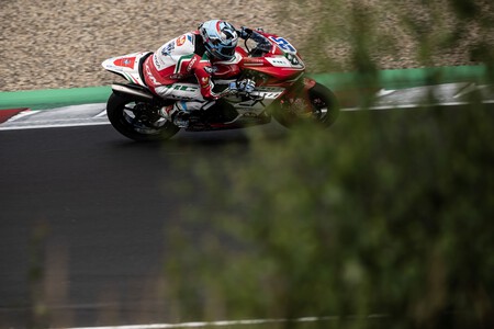 Schrotter Most Ssp 2023