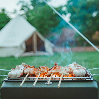 Barbacoas y parrillas portátiles para campings y picnics | ¿Cuál es mejor comprar? Consejos y recomendaciones