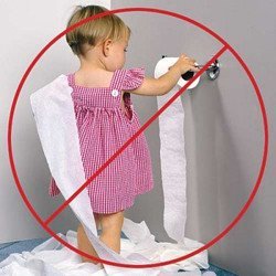 Toilet Paper Lock