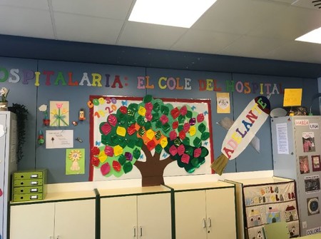 aula hospitalaria