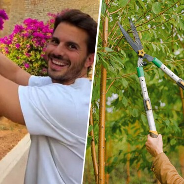 Álvaro Pedrera, jardinero: “Podar es necesario, pero deja heridas en la planta provocando que aumente el riesgo de plagas” 