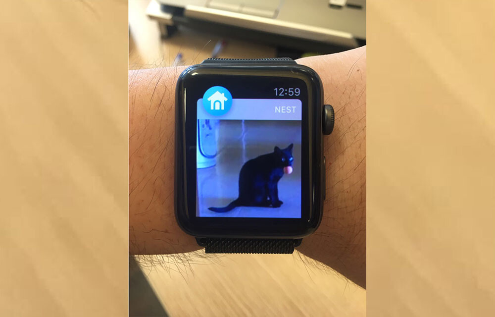 Así vigilo a mi mascota: esto es lo que usan los editores de Xataka