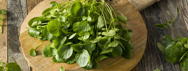 Qué son los berros, la saludable planta acuática de ligero sabor picante: propiedades y seis recetas para disfrutarlos