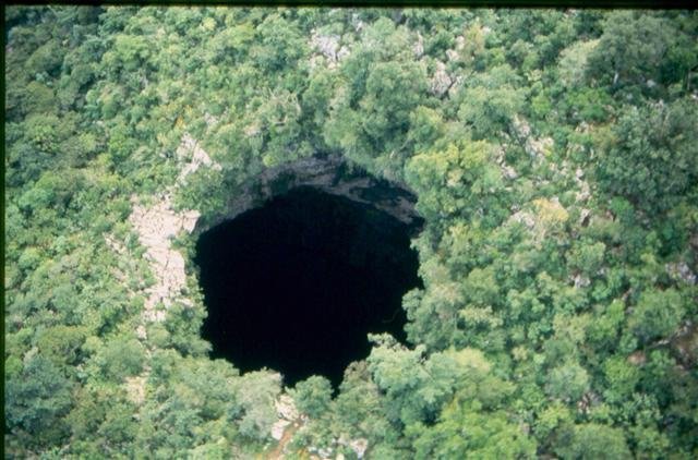 El sótano de las golondrinas