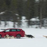 ¡León Cupra ST vs. un trineo jalado por seis perros! ¿Quién ganará?