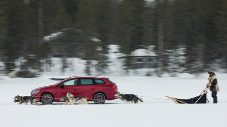 ¡León Cupra ST vs. un trineo jalado por seis perros! ¿Quién ganará?