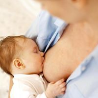 La subida (o la bajada) de la leche: todo lo que hay que saber