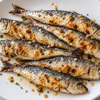 María Muiño, pescadera: "Para comprar la mejor sardina  fíjate que sea grande y gordita, tenga abundantes escamas y el ojo brillante"  
