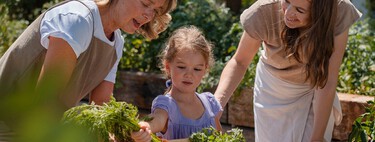 Esqueça os supermercados: como a Holanda criou um "bairro do futuro" onde cultivar a própria comida virou regra 