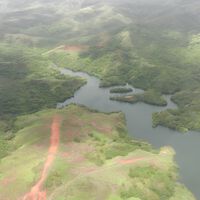 Em 1940, uma criatura apareceu em uma ilha nos Estados Unidos e dizimou tudo: hoje, duas espécies temidas pelos humanos coexistem sozinhas