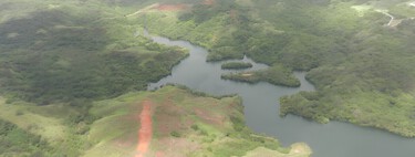 Em 1940, uma criatura apareceu em uma ilha nos Estados Unidos e dizimou tudo: hoje, duas espécies temidas pelos humanos coexistem sozinhas