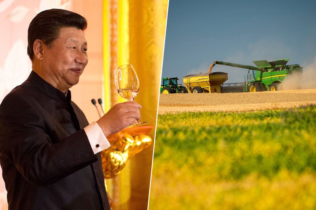 EEUU lanzó un pulso a China con los aranceles y China ha respondido no comprándoles soja. Está causando estragos