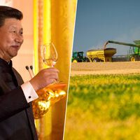 EEUU lanzó un pulso a China con los aranceles y China ha respondido no comprándoles soja. Está causando estragos