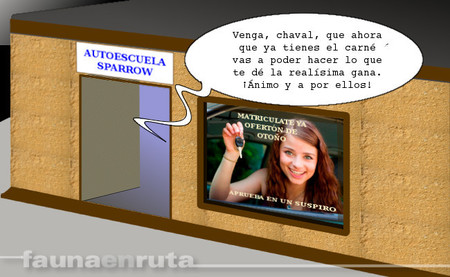 fauna en ruta - permiso de conducir