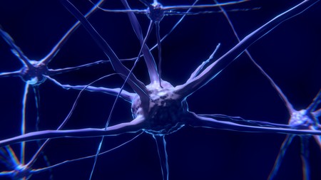 La Neurociencia Entra En Su Siguiente Nivel Llega El Neurocapitalismo 2