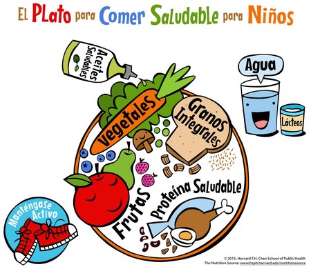 El plato de Harvard para una alimentación saludable en niños