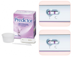 Test de ovulación Predictor