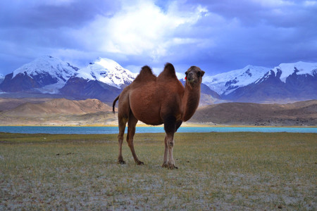 10 Imágenes para conocer el Lago Karakul